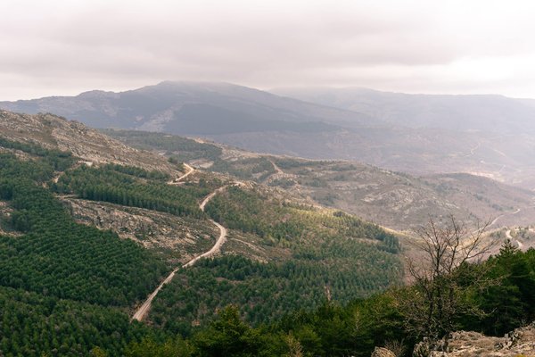 Qu'est-ce qu'un logiciel de gestion de mots de passe et comment ça marche ?