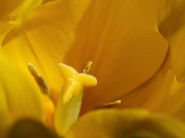 Quels sont les avantages des casques de réalité virtuelle pour les jeux ?